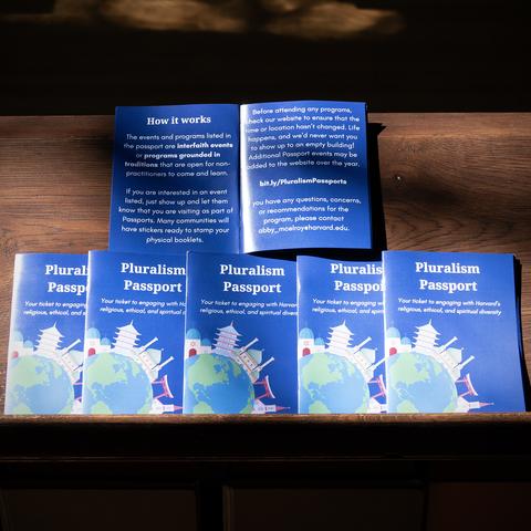 Pluralism passports in sunlight