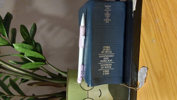Photo of LDS scriptures, pen, and notebook
