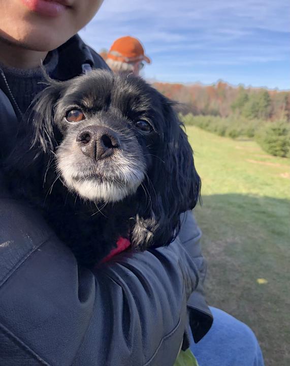 Selfie with dog