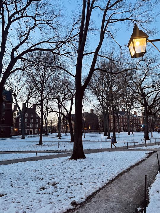 Snowy grounds with lamppost