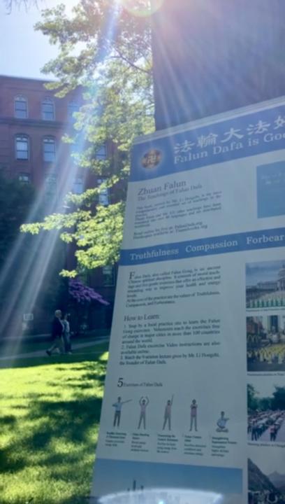 Sunlight shining over informational poster