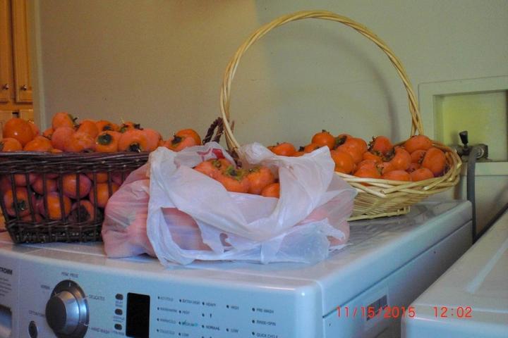 persimmons on top of washing machine